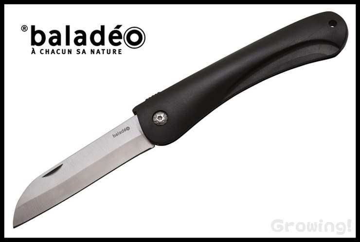 BALECO192-1.jpg