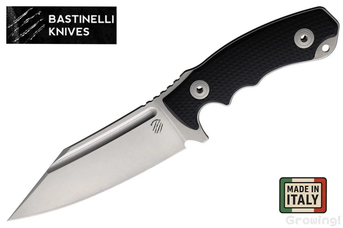 Bastinelli 【バスティネリ】■ 「アソカリプス」 【M390 】【G-10】Assaucalypse フルタング フィックスド イタリア製 【配送料無料】