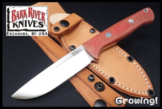 BR-BV1-154-RLS-RED-51095-1.jpg