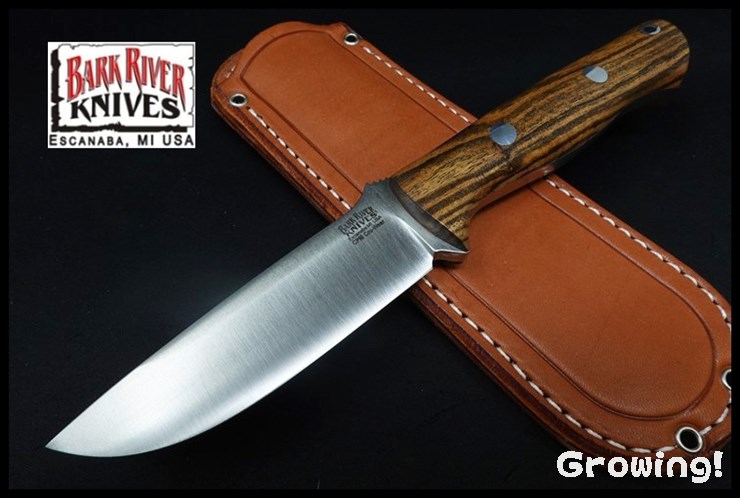 BR-BV1-CruW-Bocote-27359-1.jpg