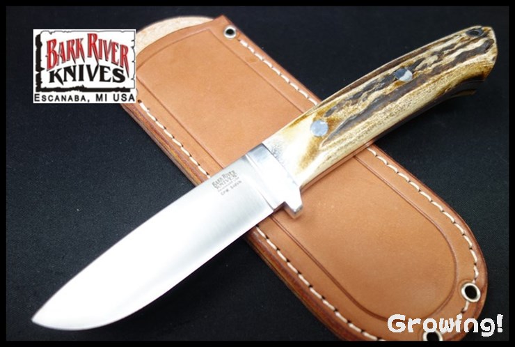 BR-CDH-S45-ELK-RL-14485-1.jpg
