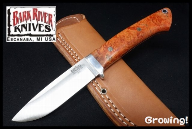BR-CDP-RedBurl-MosP-2335-1.jpg
