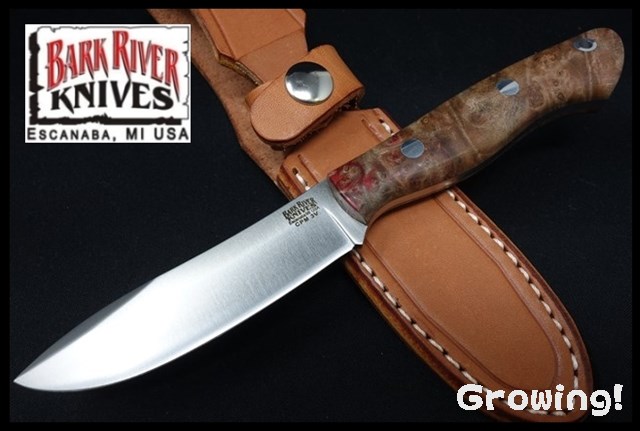 BR-MinAuH-3V-Burl-408-1.jpg