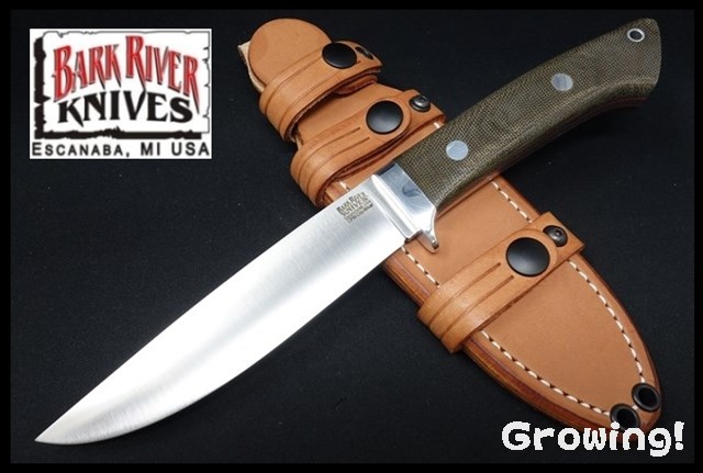BR-WILD-Cru-GCM-RL-82206-1.jpg