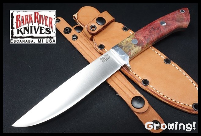 BR-WILD-Cru-RN-Burl-82224-1.jpg