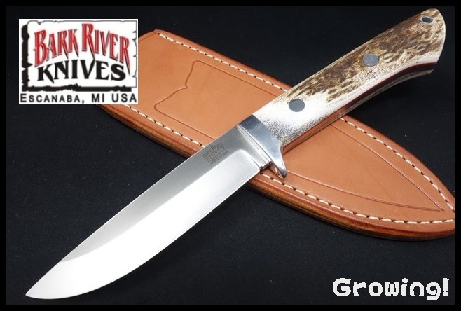 BR-WILD5-Cru-ELK-RL-2466-1.jpg