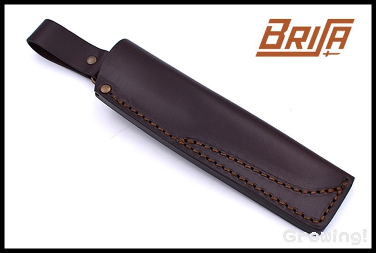 BRI-1563-1.jpg