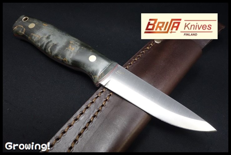BRI-303-66292-1.jpg