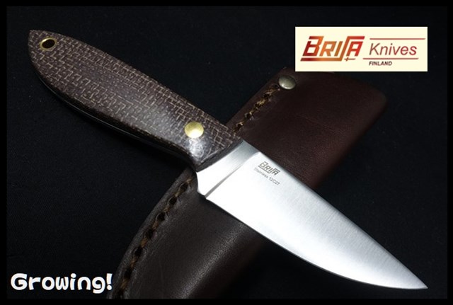 BRI036-9964-5.jpg