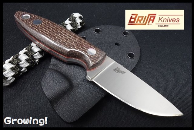 BRI23300-1.jpg