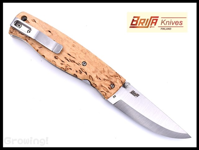 BRI2502-1.jpg
