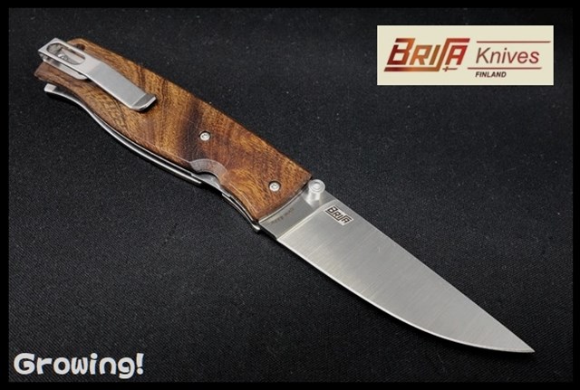BRI2510-1.jpg