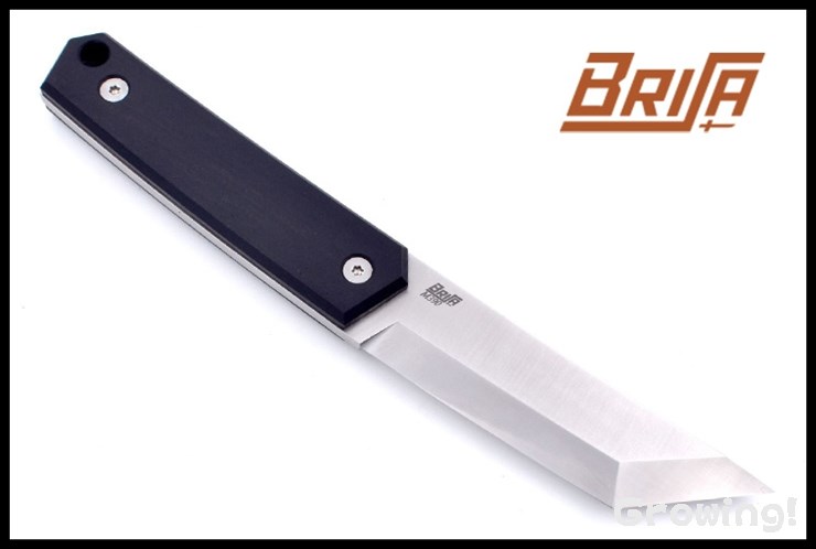 BRI331-1.jpg
