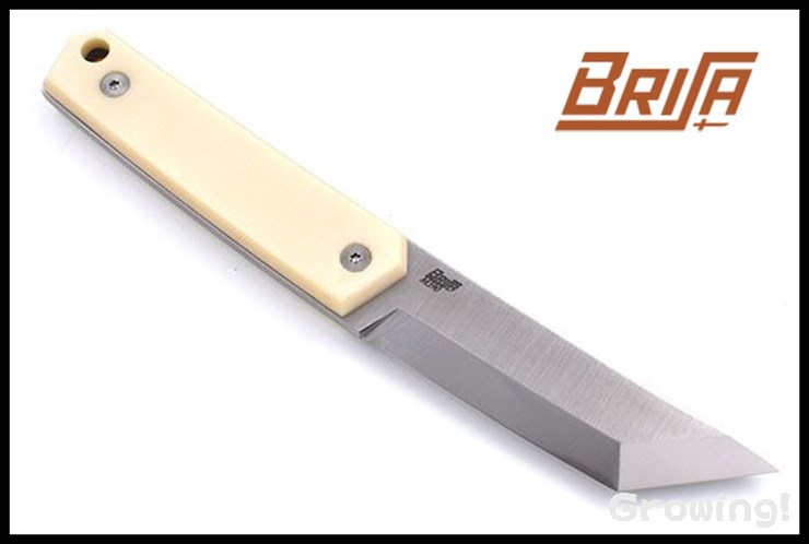 BRI332-1.jpg