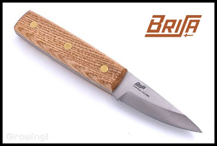 BRI421-1.jpg