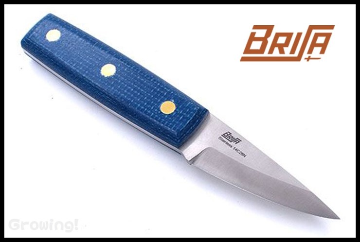 BRI422-1.jpg