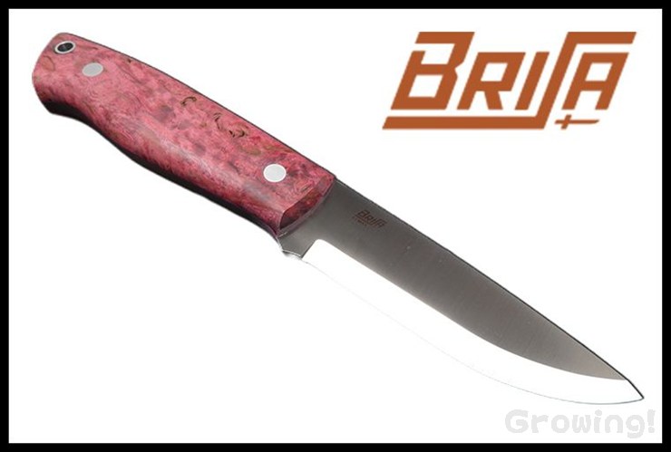 BRI66872-1.jpg