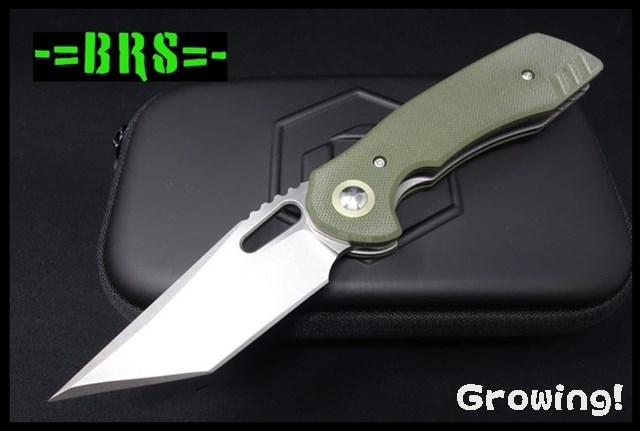 BRS006G-1.jpg
