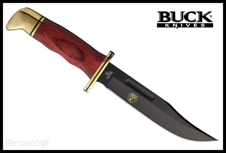BU119RWSAGS-1.jpg