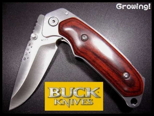 BUCK【バック】ナイフ■ アルファ ハンター FOLD【ローズウッド】 【12C27M】277 【廃番】