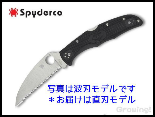 スパイダルコ