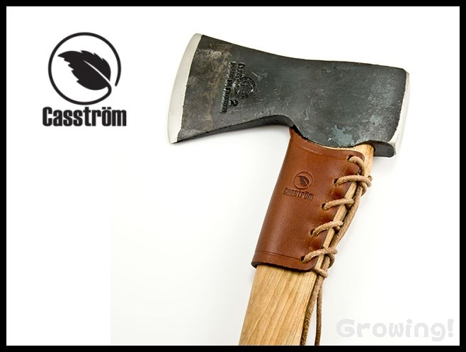 CASS11510-1.jpg