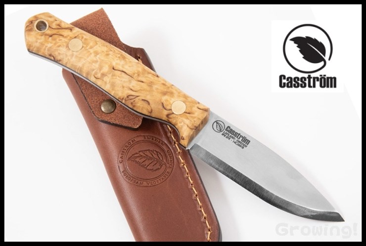 CASS12808-1.jpg