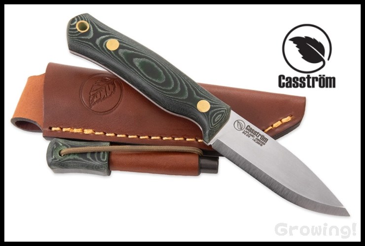 CASS12827-1.jpg