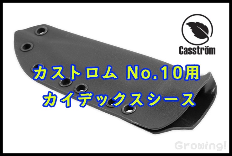 CASS13015-13016-1.jpg