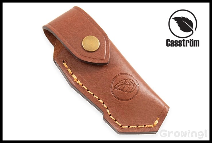 CASS13090-1.jpg