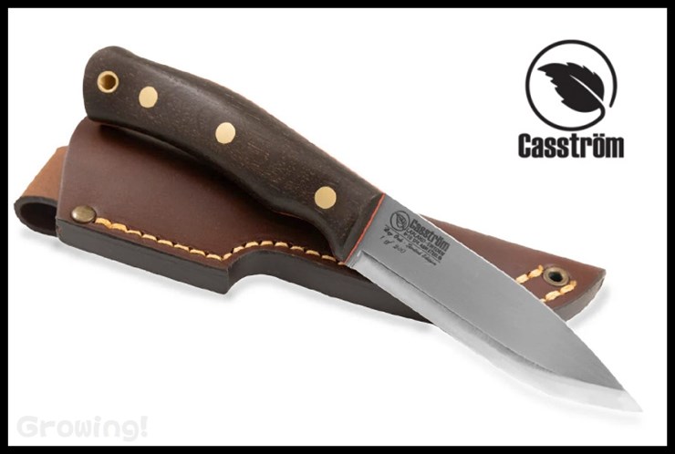 CASS13110-1.jpg