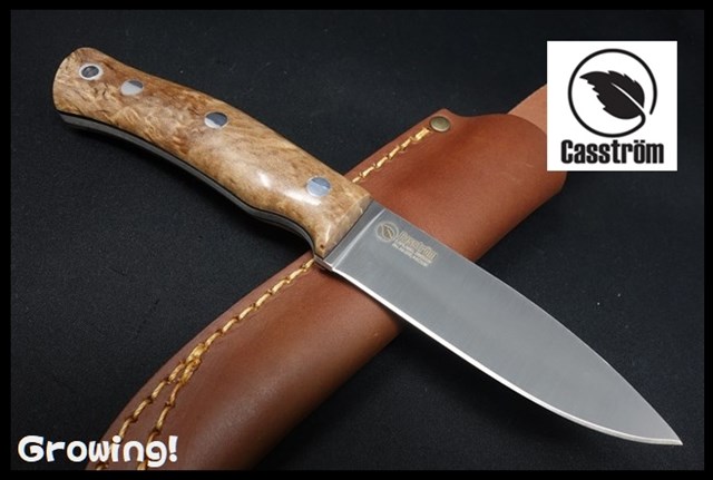 CASS13118-5.jpg