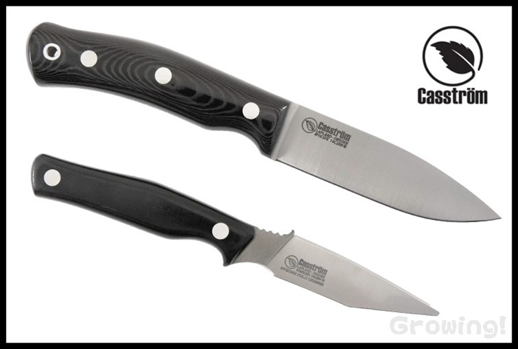 CASS14320-1.jpg