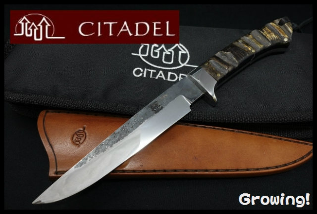 CITADEL【シタデル】■ バルト1 【DNH7】【バッファローホーン】ポーチ付き Baltic1