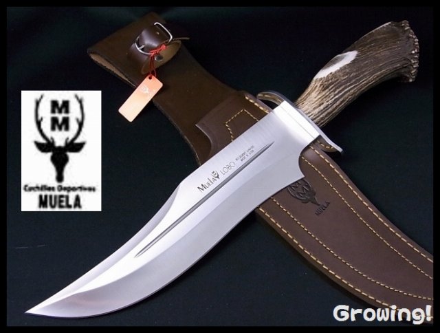 激安ナイフショップ　グローイング！