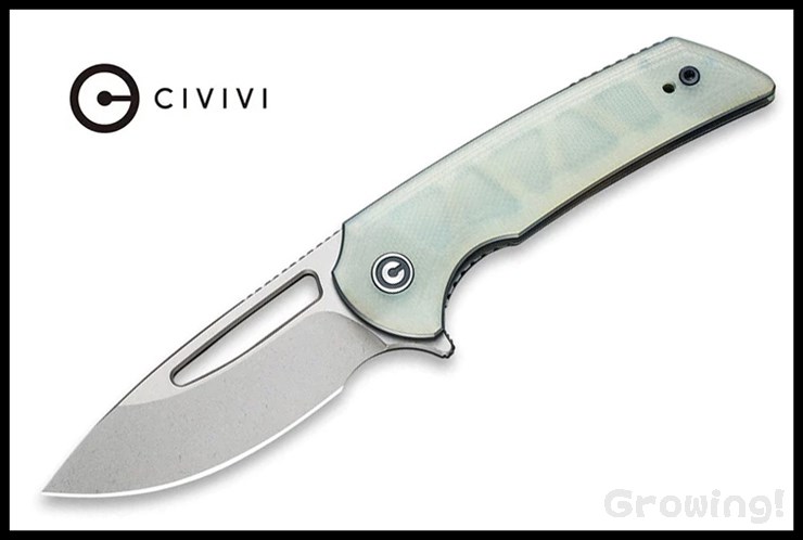 CIV-C2010F-1.jpg