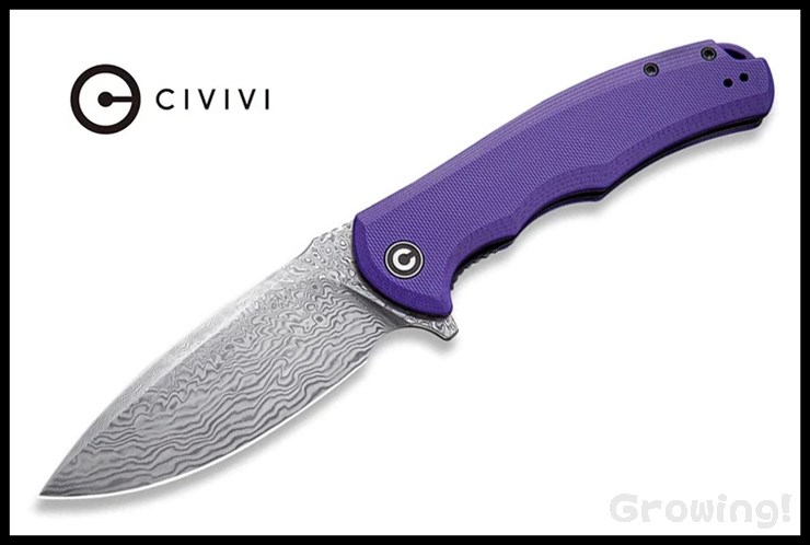 CIV-C803DS-2-1.jpg