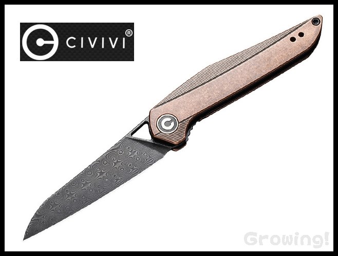CIV-C905DS3-1.jpg