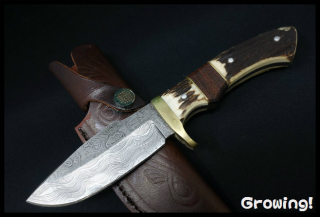 ナイフ激安ショップ　ナイフショップ　グローイング！