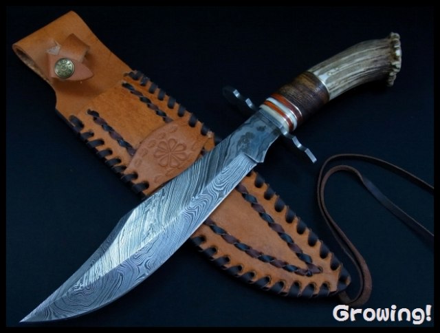 ナイフショップ　グローイング！