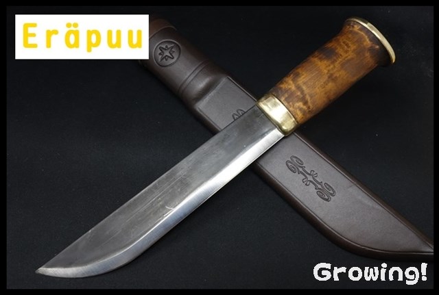 Erapuu14577-1.jpg
