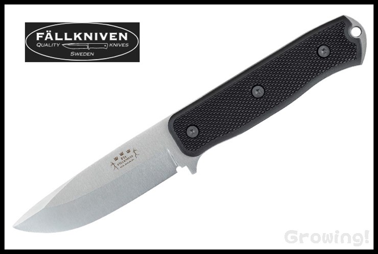 FN-F1xElmax-1.jpg