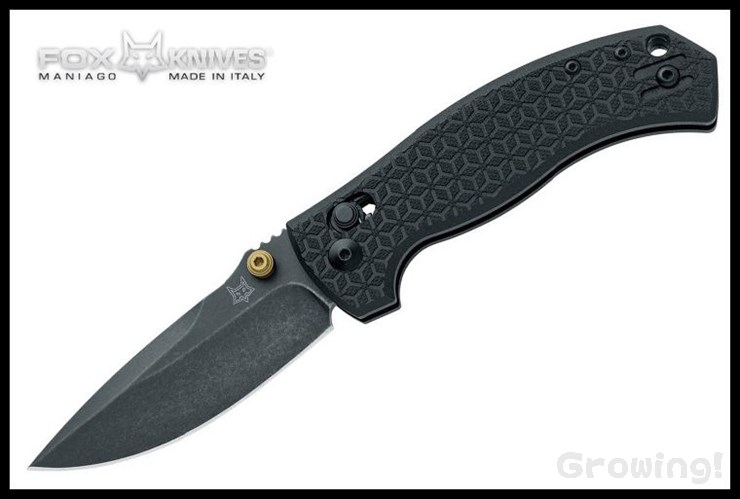 FOX560-G10B-1.jpg