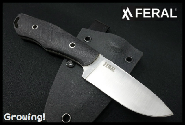 FRL001Husk-1.jpg
