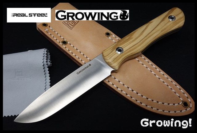 GRO3709-1.jpg