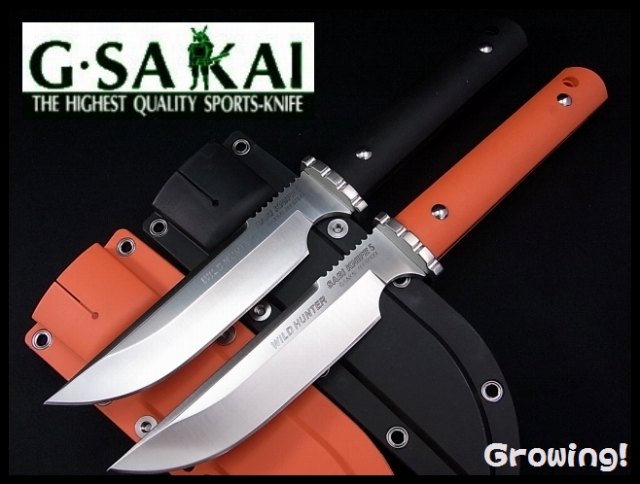 GS-SABI5-01.jpg