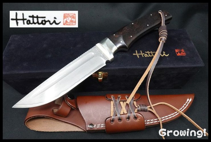 HT-sun-KD30-MIYABI-ebony-1.jpg
