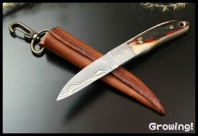 ナイフショップ　グローイング！