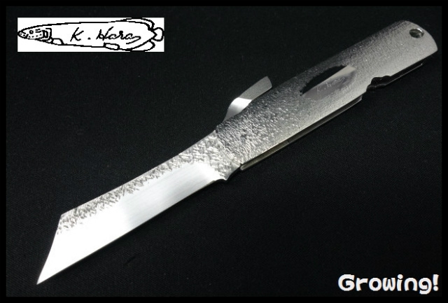 KH-HIGO-SIL-1.jpg