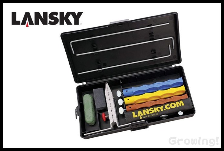 LS-LKFIN-1.jpg